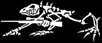 Frogman Republic - Home